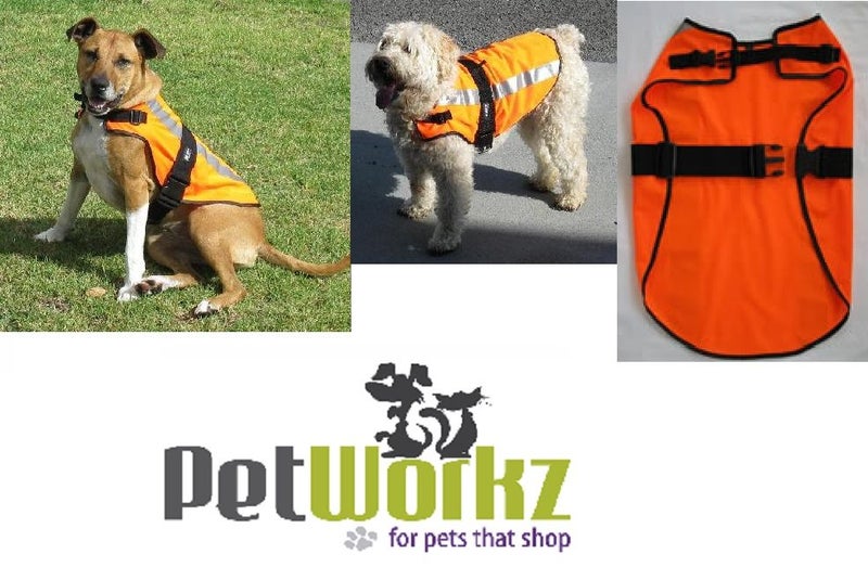 DOG COAT HIGH VISIBILITY MEDIUM Carousel 1