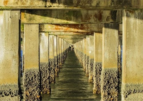 Wooden Wave Art Kiwiana Mount Maunganui Tauranga Canvas. PRICE REDUCED Carousel 6