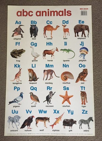 Alphabet Wall Chart Nz