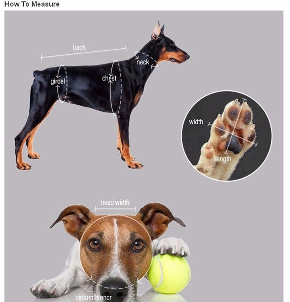 35cm Fleece Small Dog Coats - S) "SALE" Carousel 6