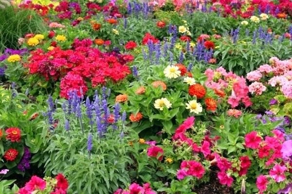WINTER FLOWER MIX 10 grams Carousel 1