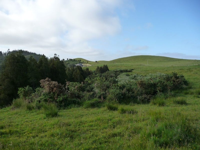 Tree work, land clearing and site clearance Carousel 2