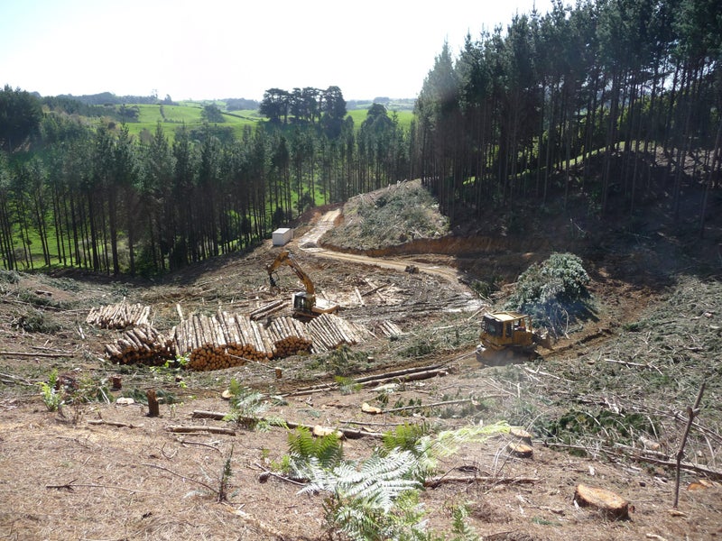 Tree work, land clearing and site clearance Carousel 9