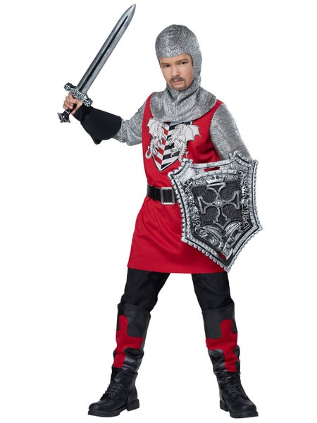 Brave Knight Medieval Renaissance Warrior Noble Book Week Boys Costume Carousel 1