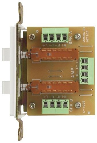 Wall Plate to use for 2 pairs of Speakers (White) Carousel 2