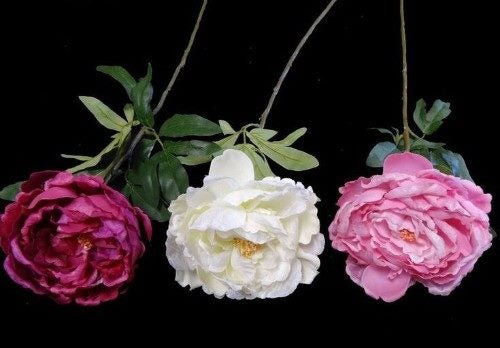 Peony Spray (Pink) Carousel 1