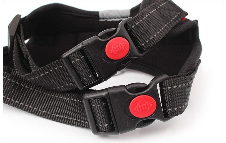 Dog Harness New Carousel 2