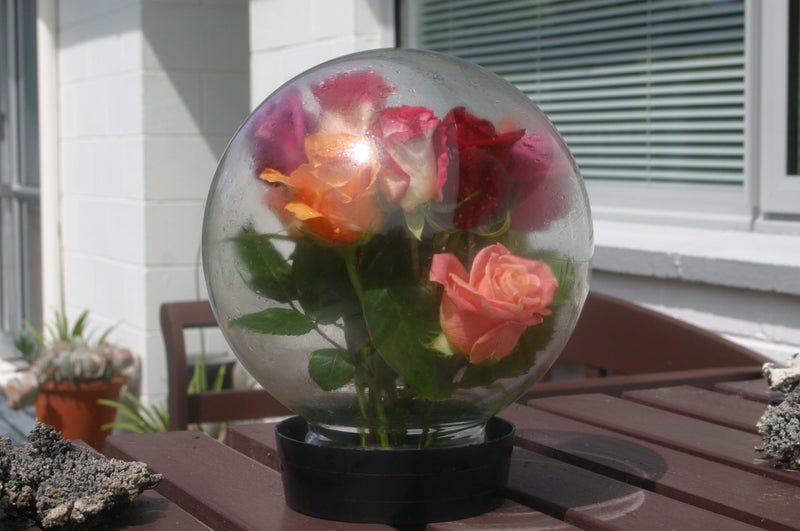 Vintage Glass Globe For Flowers 1950 S Trade Me