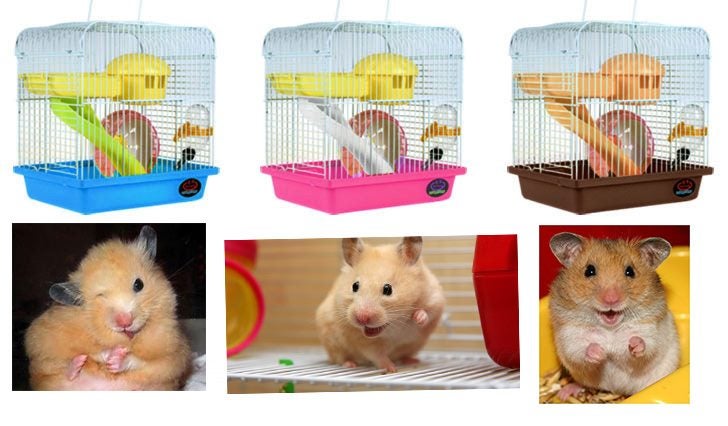Small animal Cage Carousel 2