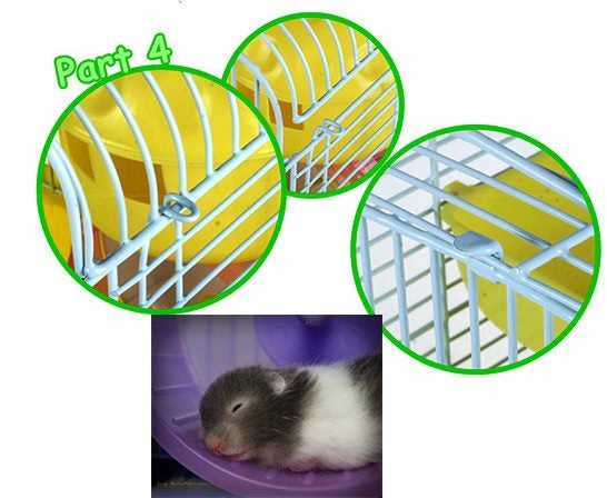 Small animal Cage Carousel 6