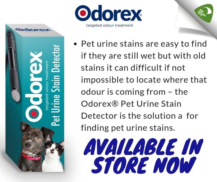ODOREX® PET URINE STAIN DETECTOR UV BACKLIGHT TORCH Carousel 2