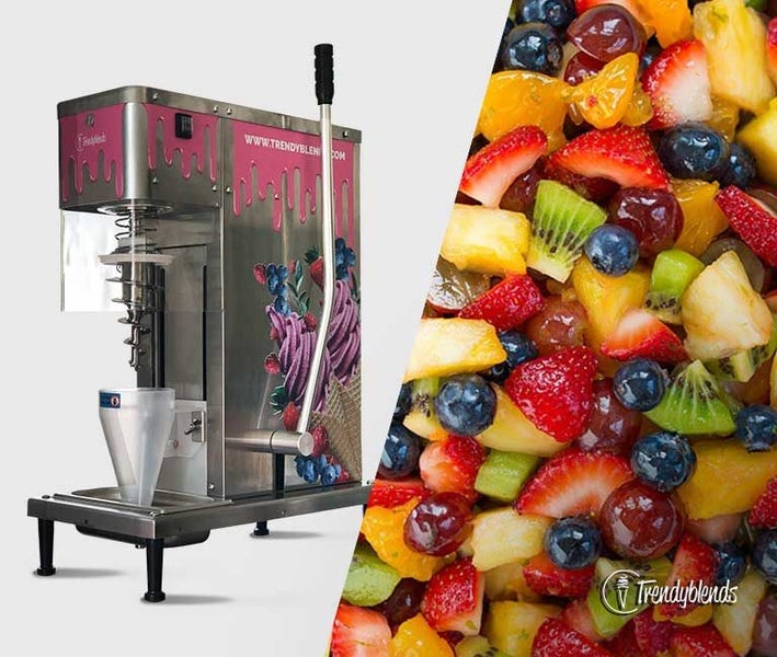 Fresh fruit discount ice cream machine