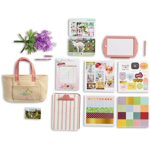 18" American Girl Doll Of The Year 2019 BLAIRE WILSON accessories set Carousel 2