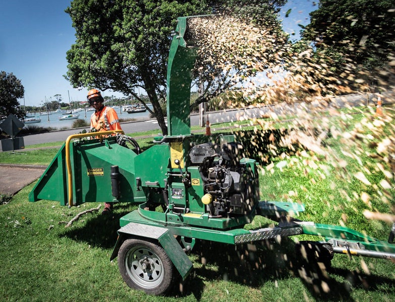Tree Care Service in Auckland (Pro Climb) Carousel 6