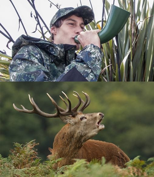 Manitoba Roaring Horn - Green Carousel 2