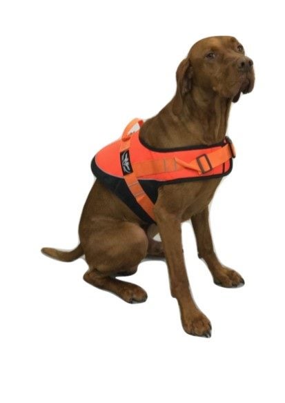 Dog Hi Vis safety Vest Carousel 1