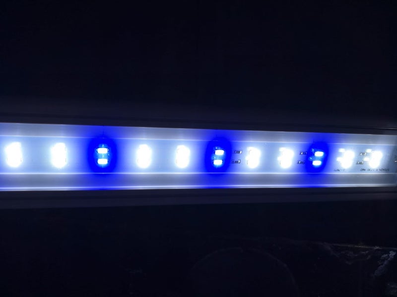 BLUE/WHITE Aquarium top led light 60cm Carousel 1