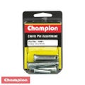 CHAMPION FASTENERS CBB1 CLEVIS PINS 6 SIZES 1/4" TO 3/8" ASSORTMENT PACK