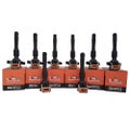 Pack of SWAN Ignition Coils &amp; NGK Spark Plugs for BMW M5, X5 &amp; Z8