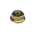 Champion Flange Nut M6 x 1.00 (B) - GR8.8