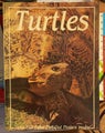 Turtles by John Mehrtens