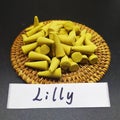 250/1000 Pcs Bulk Lavender Jasmine Indian Inense Cones Anti-Odour Lemon Sandalwo