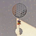 H&amp;D Crystal Flower of Life Suncatcher Rainbow Maker Window Hanging Orname CHK177