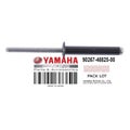 Yamaha Rivet, Blind