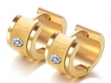 Hoop Earrings Round CZ Stainless Steel Earrings Yellow Gold Color
