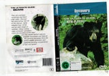 The Ultimate Guide: Bears, Discovery Channel