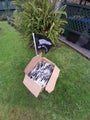 Nz flag ....4 flag for ..... 70c