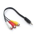 DishTV AV Adapter Cable - 3.5mm to RCA (STHAVADAPT)