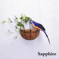 25/35cm Handmade Simulation Parrot Creative Feather Lawn Figurine