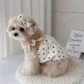 Dot Dress Dog Clothes Sweet Small for Dogs Clothing Pet Outfits Cute