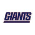 NFL Universal Jewelry Caps PIN New York Giants