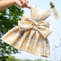 Rabbit JK Dresses and Leash Sets Mesh Plaid Pet Vest Harness for Cats