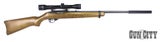 22 Ruger 10/22 Blued Wood 18.5" with Scope &amp; Silencer