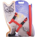 Cat Harness, Adjustable Design Nylon Strap Collar With Leash, Breakaway Cat Safe