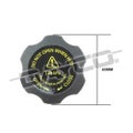 New DAYCO Radiator Cap For Holden Statesman (From 1990) DRC042