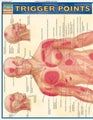 Trigger Points by Vincent Perez -