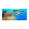 Microfiber Beach Towel Quick Dry Lightweight Bath Swim Towels Printed Bea CHK12N