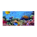 Microfiber Beach Towel Quick Dry Lightweight Bath Swim Towels Printed Bea CHK12N