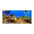 Microfiber Beach Towel Quick Dry Lightweight Bath Swim Towels Printed Bea CHK12N