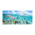 Microfiber Beach Towel Quick Dry Lightweight Bath Swim Towels Printed Bea CHK12N