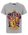 Harry Potter Grey Short Sleeved T-Shirt (Boys)
