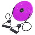 Waist Twisting Disc Twist Board Resistance Band Magnetic Massage Balance Fitness