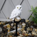 Solar Lamp Owl Animal Solar Garden Lights Solar Powered Lawn Led LightL¨White)