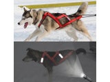 Waterproof Dog Sledding Harness Reflective Pet Sledding Skijoring Harness Big