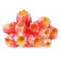 Desktop Decor Decorative Artificial Plant Fish Tank Coral Decorations Coral Fig