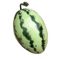 4pcs Decorative Artificial Mimiature Decor Watermelones Models Miniature Waterm